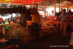 Valdivia & Pucon 31