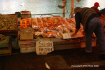 Valdivia & Pucon 35