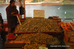 Valdivia & Pucon 36