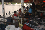 Valdivia & Pucon 42