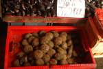 Valdivia & Pucon 45