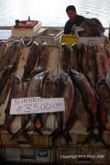 Valdivia & Pucon 46