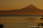 Puerto Varas & Frutillar 39