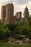 NYC Central Park 14