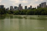 NYC Central Park 15