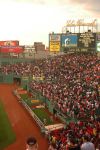 Fenway Park 3