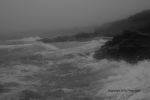 Foggy Day Waves B&W 34