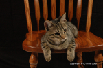 Shaffer Photoshoot  36