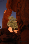Arches 23