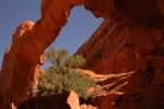 Arches 24