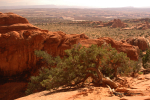 Arches 32