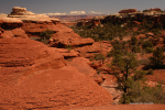 Canyonlands 4