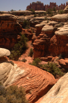 Canyonlands 25