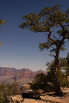 Grand Canyon 13