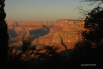 Grand Canyon 33