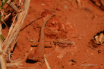 Monument Valley 14