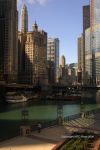 Day In Chicago 5