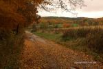 Cloudy Fall Wisconsin Day 31