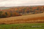 Cloudy Fall Wisconsin Day 48