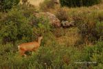 August Colorado Trip 16