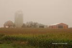 Foggy Farmland Morning 7