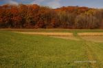 Natural Bridge Park 11