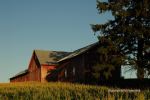 Intro To Wisconsin 1