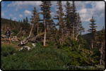 Hiking Brainard Lake 12