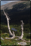 Hiking Brainard Lake 15