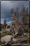 Hiking Brainard Lake 20