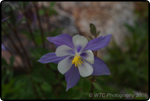 Hiking Brainard Lake 25