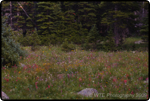 Hiking Brainard Lake 36