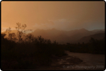 Desert Summer Storms 4