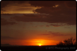 Desert Summer Storms 5