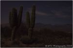 Desert At Night 13