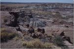 Painted Desert 5