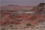 Painted Desert 11