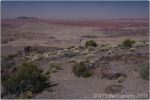 Painted Desert 12