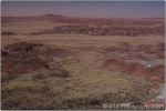 Painted Desert 15