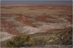 Painted Desert 17