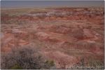 Painted Desert 18