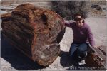 Petrified Forest 6