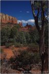 Red Rock Sedona 34