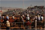 Tucson Rodeo 10