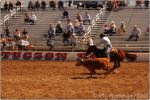 Tucson Rodeo 13