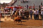 Tucson Rodeo 20