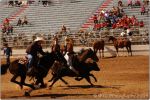 Tucson Rodeo 22