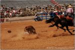 Tucson Rodeo 26