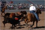 Tucson Rodeo 31