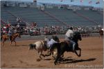 Tucson Rodeo 33